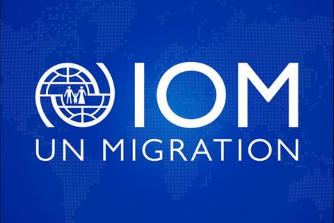 DTM Report IOM Czechia (January - March 2023)